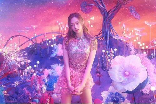 日韩紧缚sm视频,视频背后的隐秘世界