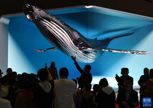 日韩裸眼3D视频,颠覆视觉体验的科技盛宴