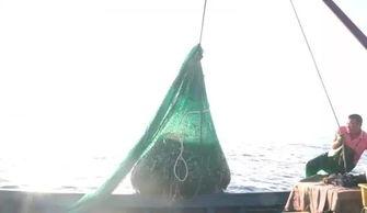 日韩青岛打渔视频,传统技艺与现代碰撞