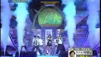 醉红楼日韩视频播放,日韩风情，激情四溢的视觉盛宴