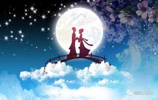 日韩七夕歌曲大全播放视频,日韩七夕歌曲大全视听盛宴